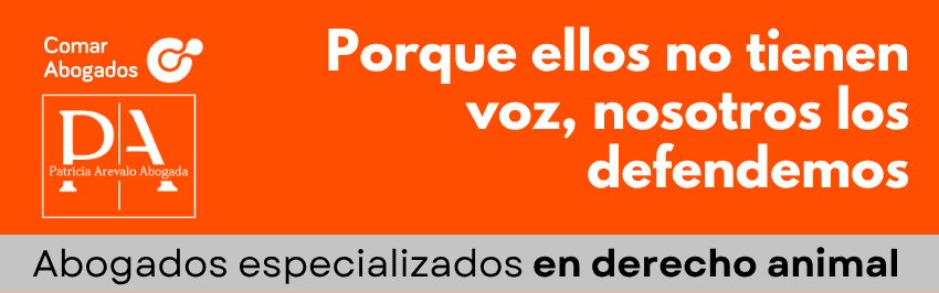 Comar Abogados defiende a quienes no tienen voz en derecho animal.