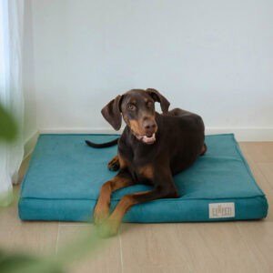 Joya para perros en tonos marrón y negro en cama cómoda junto a sillón verde.
