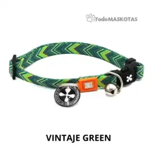 Collar para perro vintage verde con charms y clip, tienda de mascotas online.