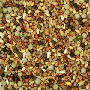 Mezcla de semillas para mascotas, comida natural para aves y pequeños animales.