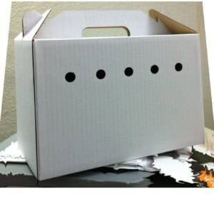 Caja de cartón para envío de peluches y juguetes en tienda online TodoMASKOTAS.
