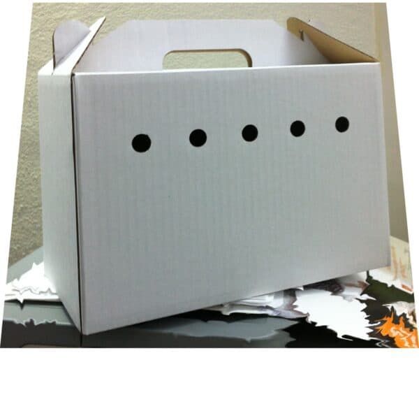 Caja de cartón para envío de peluches y juguetes en tienda online TodoMASKOTAS.