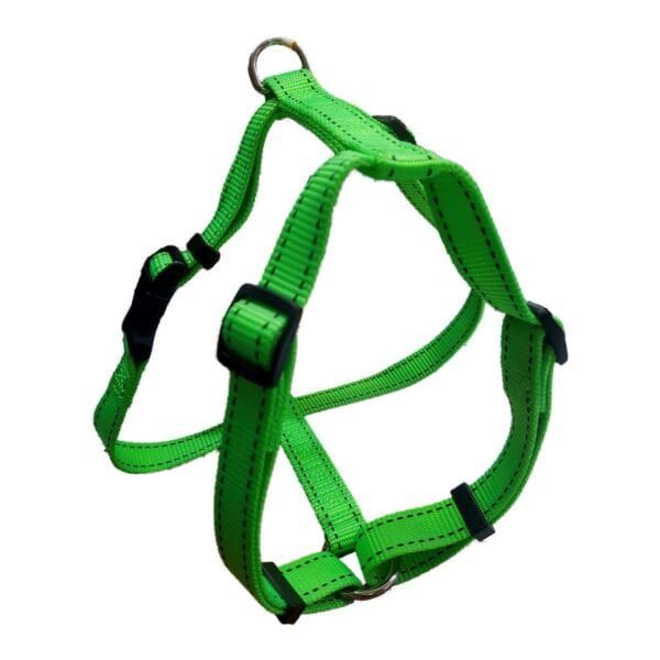 Arnés para perros de color verde con hebillas negras y anilla metálica para paseos seguros.