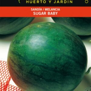 Sandía melancia Sugar Baby, semilla híbrida para cultivo en huerto y jardín. Perfecta para verano y temporadas cálidas.
