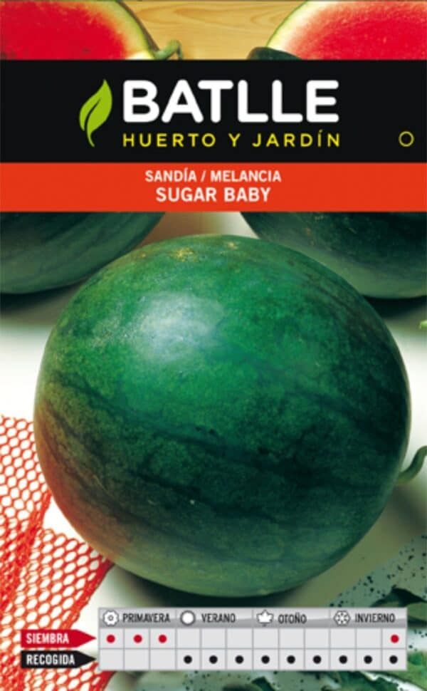 Sandía melancia Sugar Baby, semilla híbrida para cultivo en huerto y jardín. Perfecta para verano y temporadas cálidas.