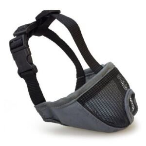 Correa de perro ajustable con malla y clip de seguridad para mascotas.