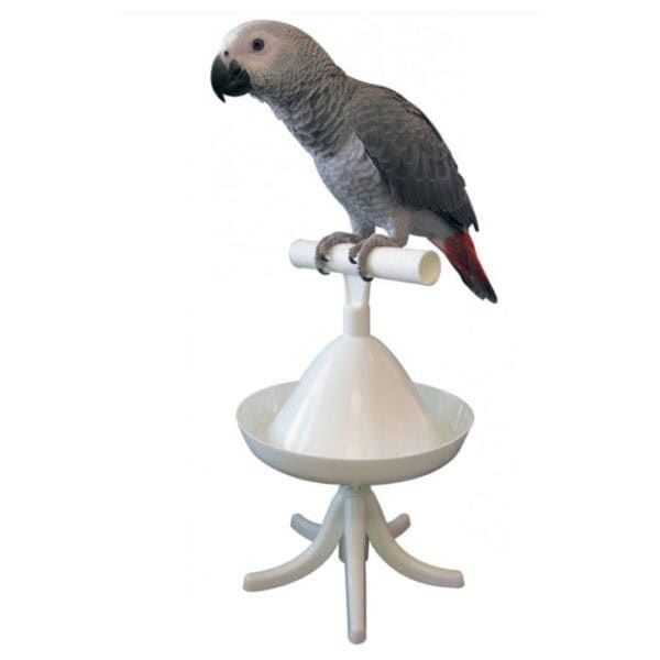 Realista muñeco de loro en base de degustación, ideal para mascotas y decoración.