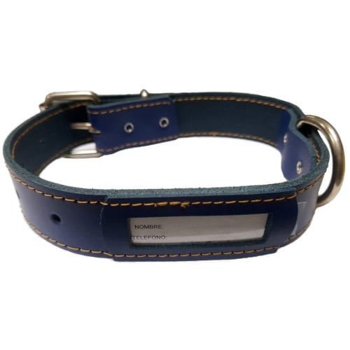 Collar para perros de piel azul con placa identificativa personalizada.