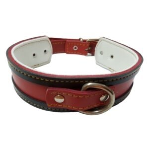 Collar de perro de cuero rojo y negro con hebilla metálica resistente.