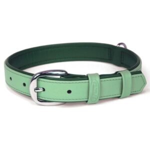 Cuero para perro color verde, collar ajustable y cómodo.