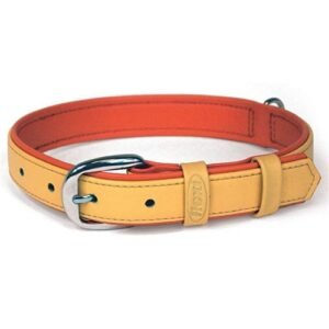 Cuerda de adiestramiento para perros en colores amarillo y naranja con hebilla de metal.