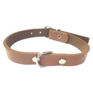 Cuero collar para perros con hebilla y anillo metálico.