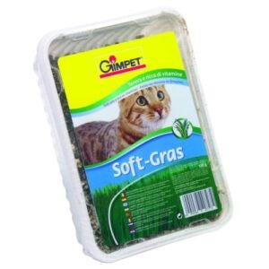 Gammeter Soft-Gras para gatos, hierba para felinos, alimento natural, hierba de vitamina, cuidado de mascotas.