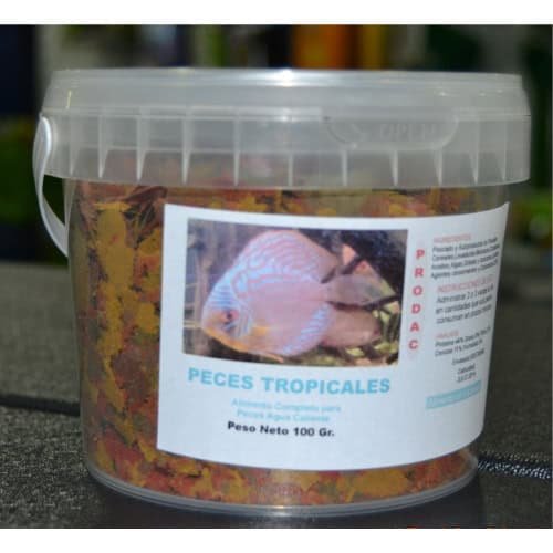 Colorful tropical fish food in plastic container for aquarium fish care.