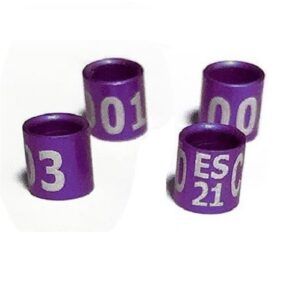 Tambores de marcador para juegos y eventos en color morado con números y letras.
