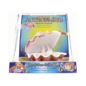 Precioso ornamento acuático de pez marino en caja de exhibición.