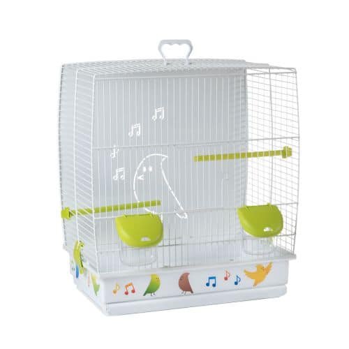 Gaiola para ave con diseño colorido y divertido, ideal para mascotas pequeñas.