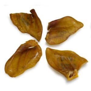 Croquetas de marisco gourmet, ideales para aperitivos o tapas en celebración. Calidad y sabor en cada bocado.