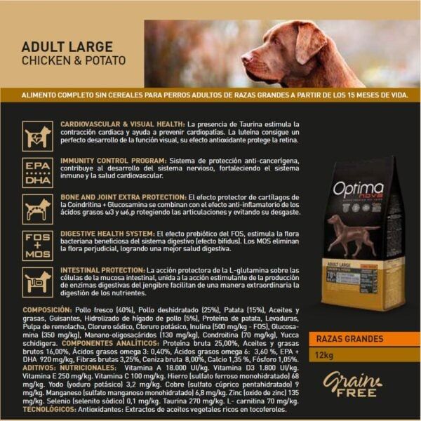 Perrito de raza grande con comida para adultos con ingredientes nutritivos y beneficios para la salud cardiovascular y articular.