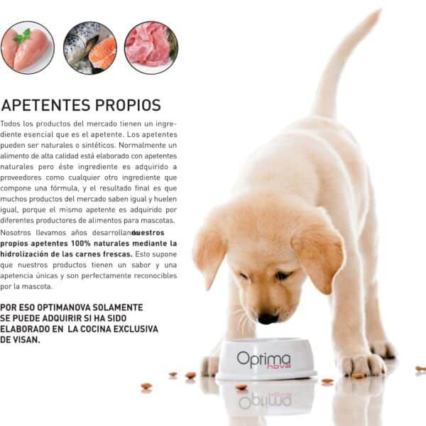 Comida natural para mascotas cachorro, alimento fresco y delicioso para perros jóvenes.