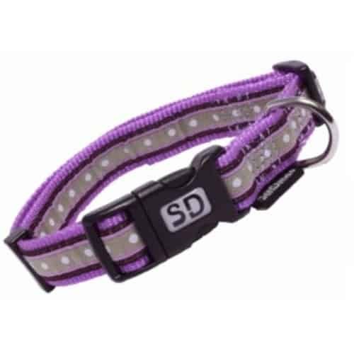 Correa para perros con estampado de puntos y hebilla ajustable, ideal para mascotas.