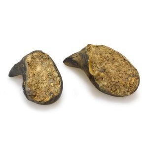 Piedras de amono en forma de cabeza de animal, ideales para decorar o coleccionar.