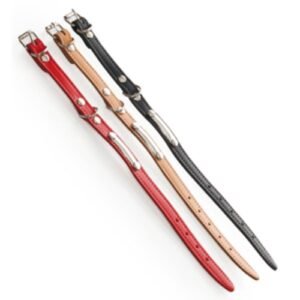 Cinturones para mascotas de cuero en colores rojo, marrón y negro para perros y gatos.