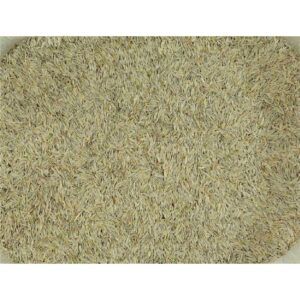 Granos de arroz en la tienda online TodoMASKOTAS.