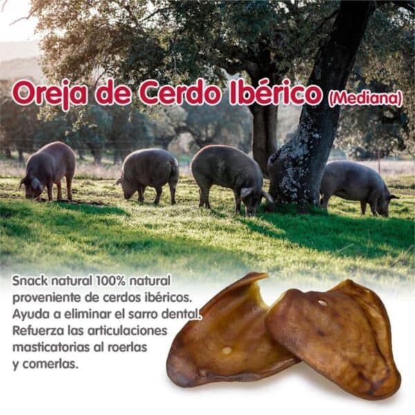 Carne de cerdo ibérico, oreja ibérica natural, snack saludable para perros, premios naturales para mascotas, alimentación canina saludable.