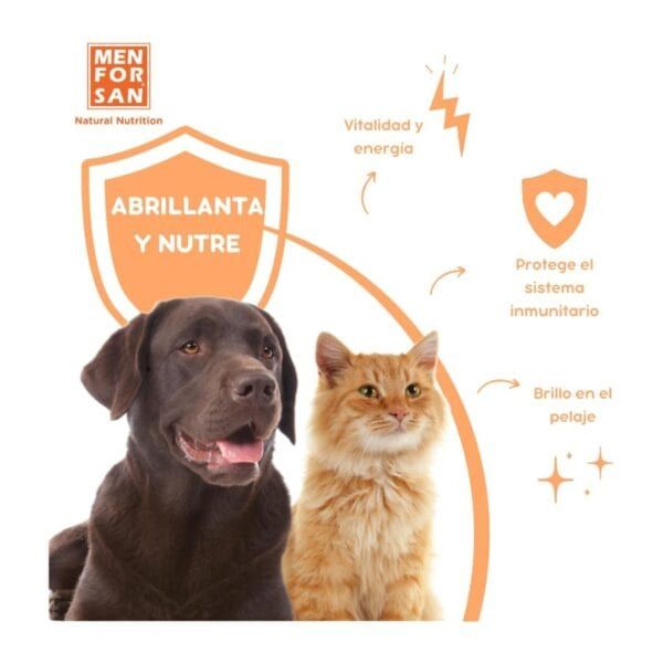 Perro y gato con beneficios de alimentación saludable para mascotas, en tienda online TodoMASKOTAS.