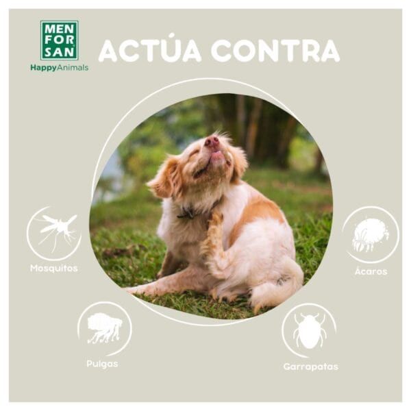 Cachorro con señal de combate contra plagas de mosquitos, ácaros, pulgas y garrapatas.