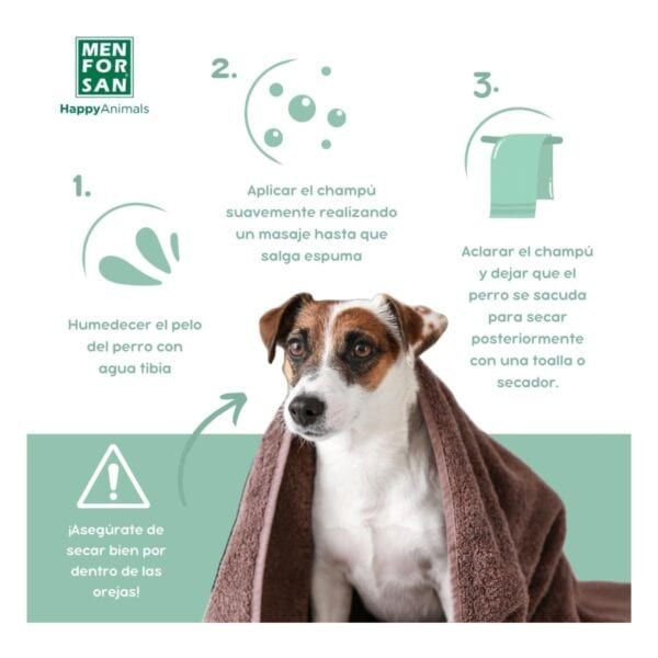 Humedecer el pelaje del perro con agua tibia para un baño relajante y efectivo en mascotas.