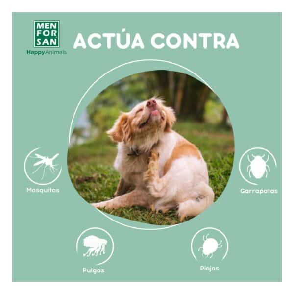 Cachorro feliz actuando contra pulgas, garrapatas, mosquitos y piojos en jardín.