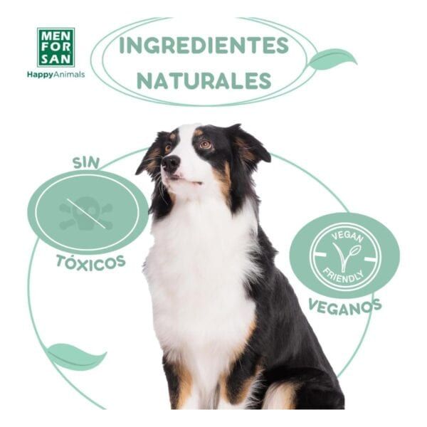 Ingredientes naturales para mascotas, sin tóxicos ni ingredientes dañinos.