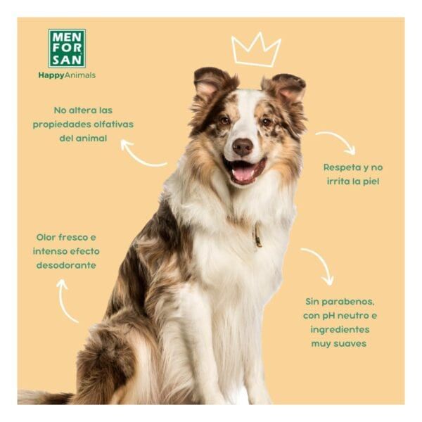 Apariencia atractiva de un perro pastor con ilustraciones y texto explicativo.