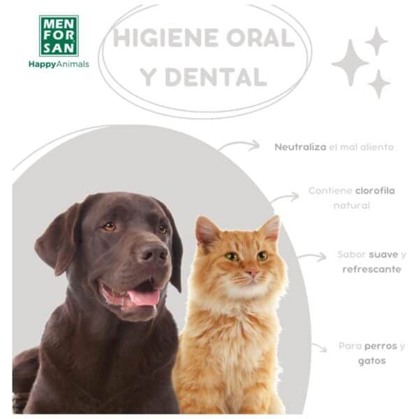Alimentos naturales para perros y gatos en tienda online TodoMASKOTAS.
