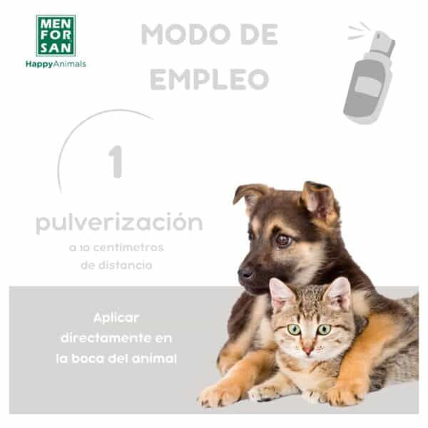 Pulverización de mascotas, spray antipulgas para perros y gatos, control de pulgas, tratamiento antiparasitario, productos para mascotas Relevante.
