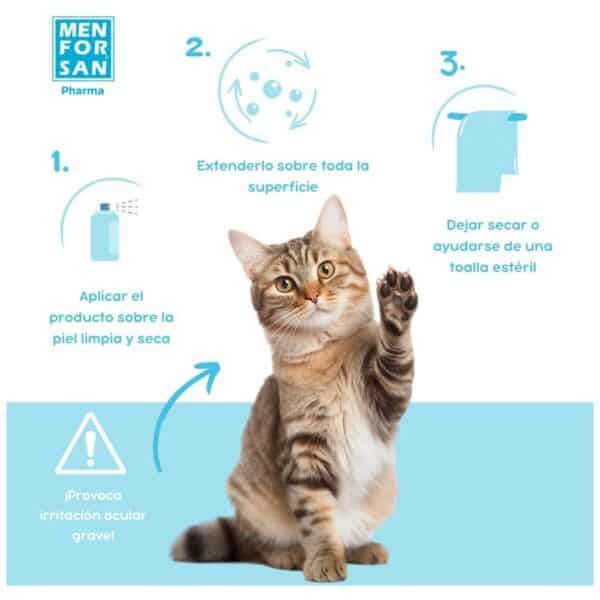 Bacterias en la piel del gato, cuidado con irritaciones oculares graves.