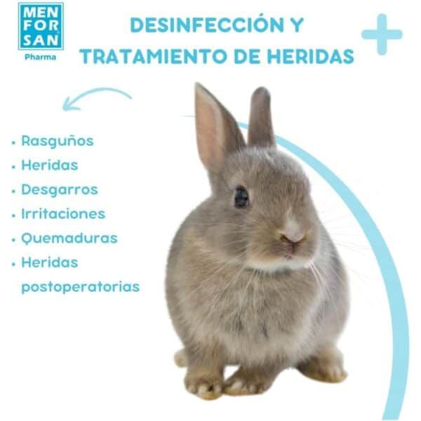 Ratoncito de peluche con temática de desinfección y cuidado de heridas.