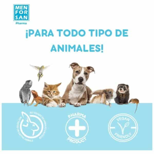 Varias mascotas con productos para animales en tienda online TodoMASKOTAS, productos veganos y sin crueldad animal.