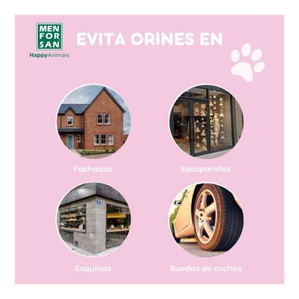 Fachadas y escaparates para evitar orines en lugares públicos.