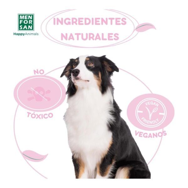 Ingredientes naturales para mascotas sin tóxicos ni crueldad vegana en TodaMaskotas.es.