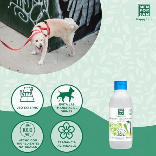 El perro con correa blanca en la acera.