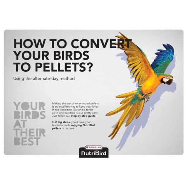 Convertir aves en pellets, método de alimentación para aves, NutriBird, guía paso a paso.