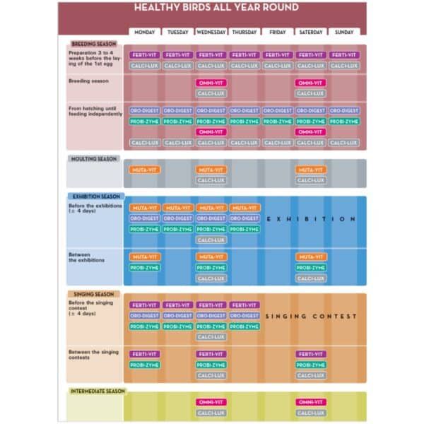 Ómnivita y calcio para pollitos en diferentes etapas del ciclo, con horarios específicos de alimentación y suplementación.