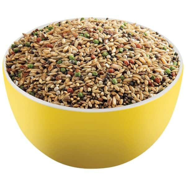 Semillas para aves en bol, alimento natural para mascotas.