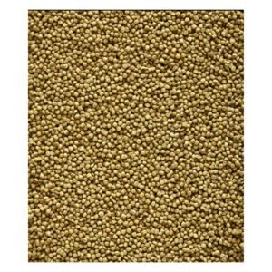 Semillas de mostaza orgánicas para plantación y cocina.