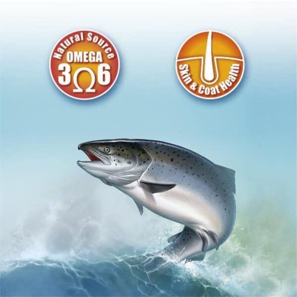 Omega 3 pez salmón, suplemento de aceite de pescado natural para salud, tienda de mascotas online TodoMASKOTAS.