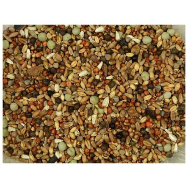 Semillas para aves variadas, alimenta y cuida a tus mascotas con calidad.