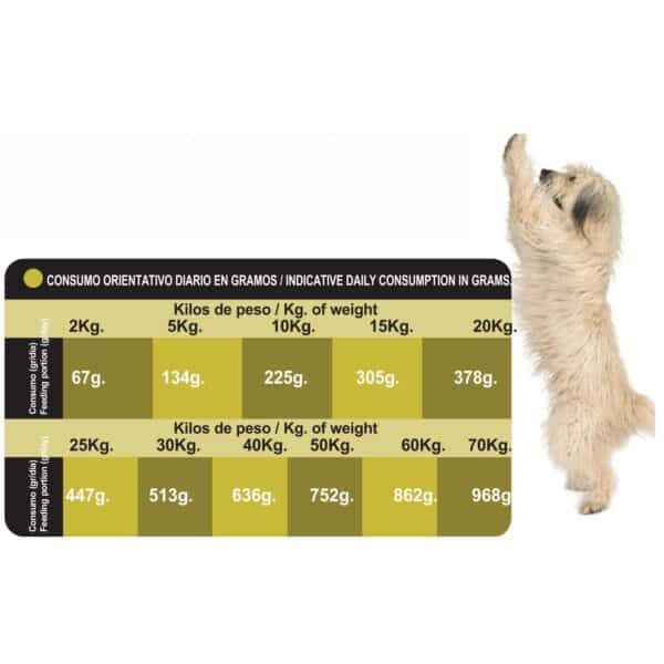 Alto: Instrucciones de alimentación diaria para perros en gramos según peso.